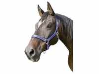 Kerbl Pferde-Halfter Mustang Gr.2 blau schwarz GLO689900421