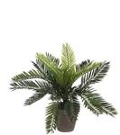 Mica Kunstpflanze Cycas Palme gr&uuml;n im Topf 33 x 34 cm