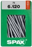 Spax Universalschrauben 6.0 x 120 mm TX 30 - 75 Stk.
