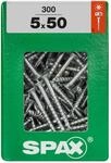Spax Universalschrauben 5.0 x 50 mm TX 20 - 300 Stk.
