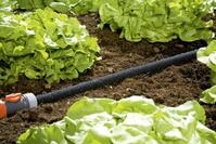 Gardena Perl-Regner 15 m