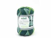 Gründl Sockenwolle Hot Socks Simila 100 g grün-mint-blau-flieder-lindgrün