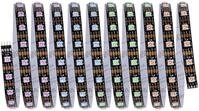 Paulmann Entertain LED Stripe Dynamic Rainbow Komplettset 3m RGB k&uuml;rzbar