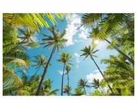 Komar Vlies Fototapete Coconut Heaven 450 x 280 cm