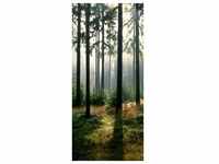 papermoon Vlies-Fototapete Wand & Türdekor Digitaldruck 90 x 200 cm Forest