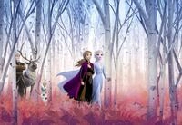 Komar Fototapete Frozen Friends For. 368 x 254 cm