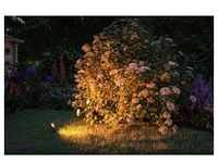 Paulmann Plug & Shine LED Spot Sting insect-friendly anthrazit 29 x 5,2 cm