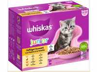 Whiskas Mulitpack Junior Geflügelauswahl in Sauce Katzenfutter 12 x 85 g