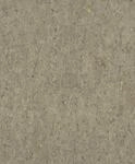 Rasch Vliestapete 538342 Curiosity, Korkoptik bronze, 10,05 x 0,53 m