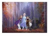Komar Vlies Fototapete Frozen Autumn Glade 400 x 280 cm