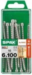 Spax Holzbauschrauben 6.0 x 100 mm TX 30 Zylinderkopf - 10 Stk.