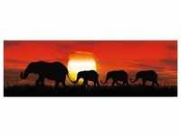 Deco-Panel Bild - Sunset Elefants 90 x 29 cm