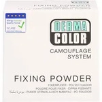 Kryolan GmbH Dermacolor Camouflage Fixierpuder large P3 60 g 15820163_DBA