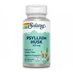 Supplementa GmbH Flohsamenschalen Kapseln 100 St 17253863_DBA