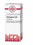 DHU-Arzneimittel GmbH & Co. KG Haplopappus C 30 Globuli 10 g 16691443_DBA