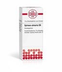 DHU-Arzneimittel GmbH & Co. KG Spiraea Ulmaria D 6 Globuli 10 g 16693956_DBA