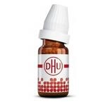 DHU-Arzneimittel GmbH & Co. KG Salvia Officinalis D 4 Globuli 10 g 16693732_DBA