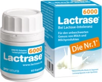 Pro Natura Gesellschaft f&uuml;r gesunde Ern&auml;hrung mbH Lactrase 6.000 FCC Kapseln 60 St