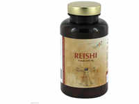 Vita World GmbH Reishi Extrakt 500 mg Kapseln 100 St 07518119_DBA