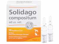 Biologische Heilmittel Heel GmbH Solidago Compositum ad us.vet.Ampullen 10 St