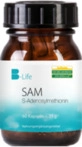 Heidelberger Chlorella GmbH SAM S-Adenosylmethionin Kapseln 60 St 09895145_DBA