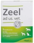 Biologische Heilmittel Heel GmbH Zeel ad us. vet. Ampullen &ndash; 5 x 5 ml 04827009_DBA