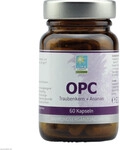 ApoZen Vertriebs GmbH OPC 200 mg Kapseln 60 St 04869746_DBA