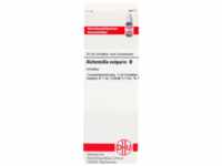 DHU-Arzneimittel GmbH & Co. KG Alchemilla Vulgaris Urtinktur 20 ml 02605954_DBA