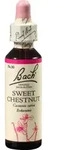 Bachbl&uuml;ten Sweet Chestnut Tropfen 20 ml