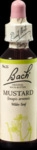 Nelsons GmbH Bachbl&uuml;ten Mustard Tropfen 20 ml 00114910_DBA
