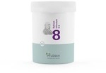 Hom&ouml;opathisches Laboratorium Alexander Pfl&uuml;ger GmbH & Co. KG Biochemie Pfl&uuml;ger 8