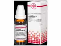 DHU-Arzneimittel GmbH & Co. KG Codeinum Phosphoricum D 4 Dilution 20 ml...