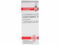 DHU-Arzneimittel GmbH & Co. KG Lycopus Virginicus D 12 Globuli 10 g 07172980_DBA