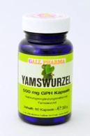 HECHT Pharma GmbH Yamswurzel 500 mg GPH Kapseln 60 St 03378294_DBA