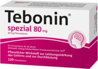 Dr. Willmar Schwabe GmbH & Co. KG Tebonin spezial 80 mg Filmtabletten 120 St