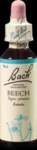 Bachbl&uuml;ten Beech Tropfen 20 ml