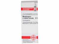 DHU-Arzneimittel GmbH & Co. KG Mandragora E radice siccata D 12 Globuli 10 g