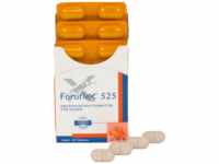 Virbac Tierarzneimittel GmbH Fortiflex 525 Tabletten vet. 30 St 01657966_DBA