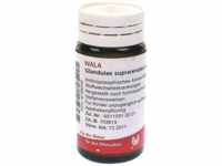 WALA Heilmittel GmbH Glandulae Suprarenales comp.Globuli 20 g 08786046_DBA