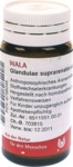 WALA Heilmittel GmbH Glandulae Suprarenales comp.Globuli 20 g 08786046_DBA
