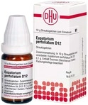 DHU-Arzneimittel GmbH & Co. KG Eupatorium Perfoliatum D 12 Globuli 10 g 02898465_DBA