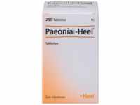 Biologische Heilmittel Heel GmbH Paeonia Comp.heel Tabletten 250 St 08541770_DBA