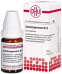 DHU-Arzneimittel GmbH & Co. KG Cardiospermum D 12 Globuli 10 g 04210444_DBA