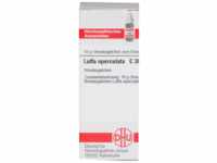 DHU-Arzneimittel GmbH & Co. KG Luffa Operculata C 30 Globuli 10 g 04225090_DBA