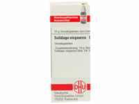 DHU-Arzneimittel GmbH & Co. KG Solidago Virgaurea D 4 Globuli 10 g 02931470_DBA