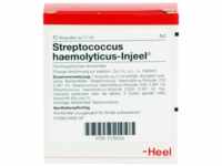 Biologische Heilmittel Heel GmbH Streptococcus Haemolyticus Injeel Ampullen 10 St