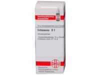DHU-Arzneimittel GmbH & Co. KG Echinacea HAB D 1 Globuli 10 g 02890392_DBA
