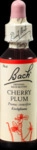 Nelsons GmbH Bachbl&uuml;ten Cherry Plum Tropfen 20 ml 00046663_DBA
