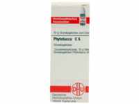 DHU-Arzneimittel GmbH & Co. KG Phytolacca C 6 Globuli 10 g 04231819_DBA