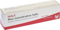 Rhus Toxicodendron Salbe 30 g
